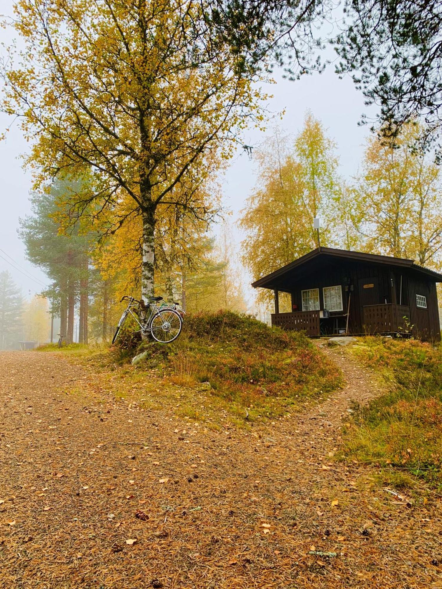 Saeterasen Hytter & Camping Trysil Bagian luar foto