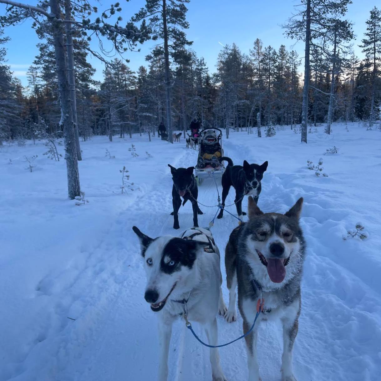 Saeterasen Hytter & Camping Trysil Bagian luar foto