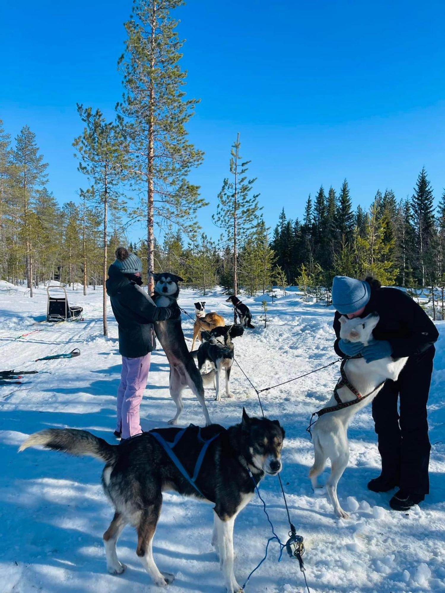 Saeterasen Hytter & Camping Trysil Bagian luar foto