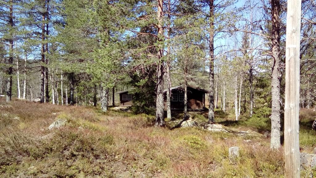 Saeterasen Hytter & Camping Trysil Bagian luar foto