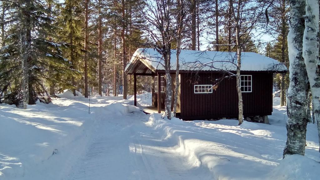Saeterasen Hytter & Camping Trysil Bagian luar foto