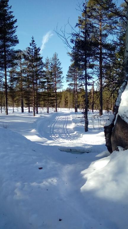 Saeterasen Hytter & Camping Trysil Bagian luar foto