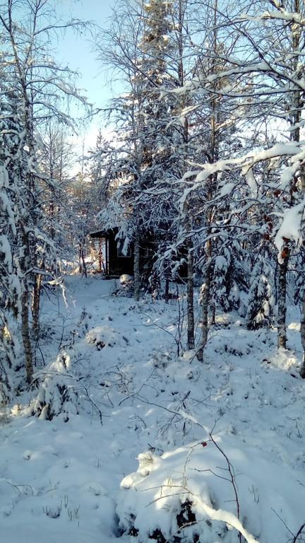 Saeterasen Hytter & Camping Trysil Bagian luar foto