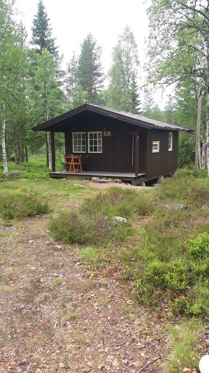 Saeterasen Hytter & Camping Trysil Bagian luar foto